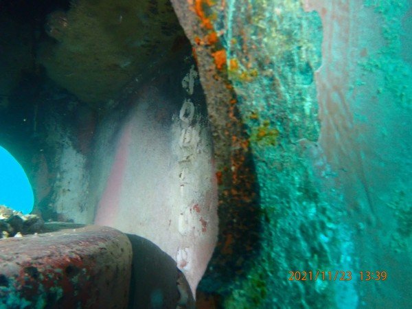 Home underwater inspection