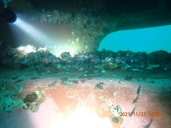 Services underwater inspection